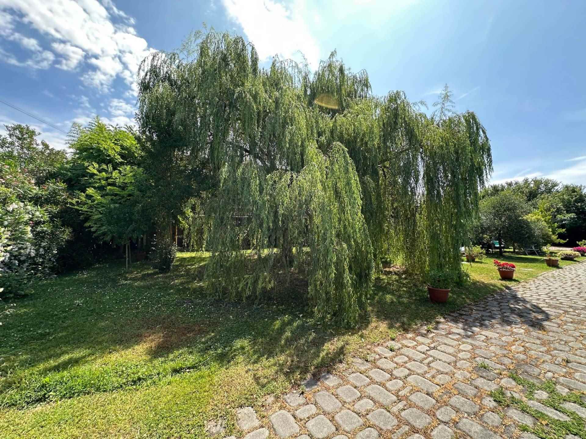 Villa Latisana